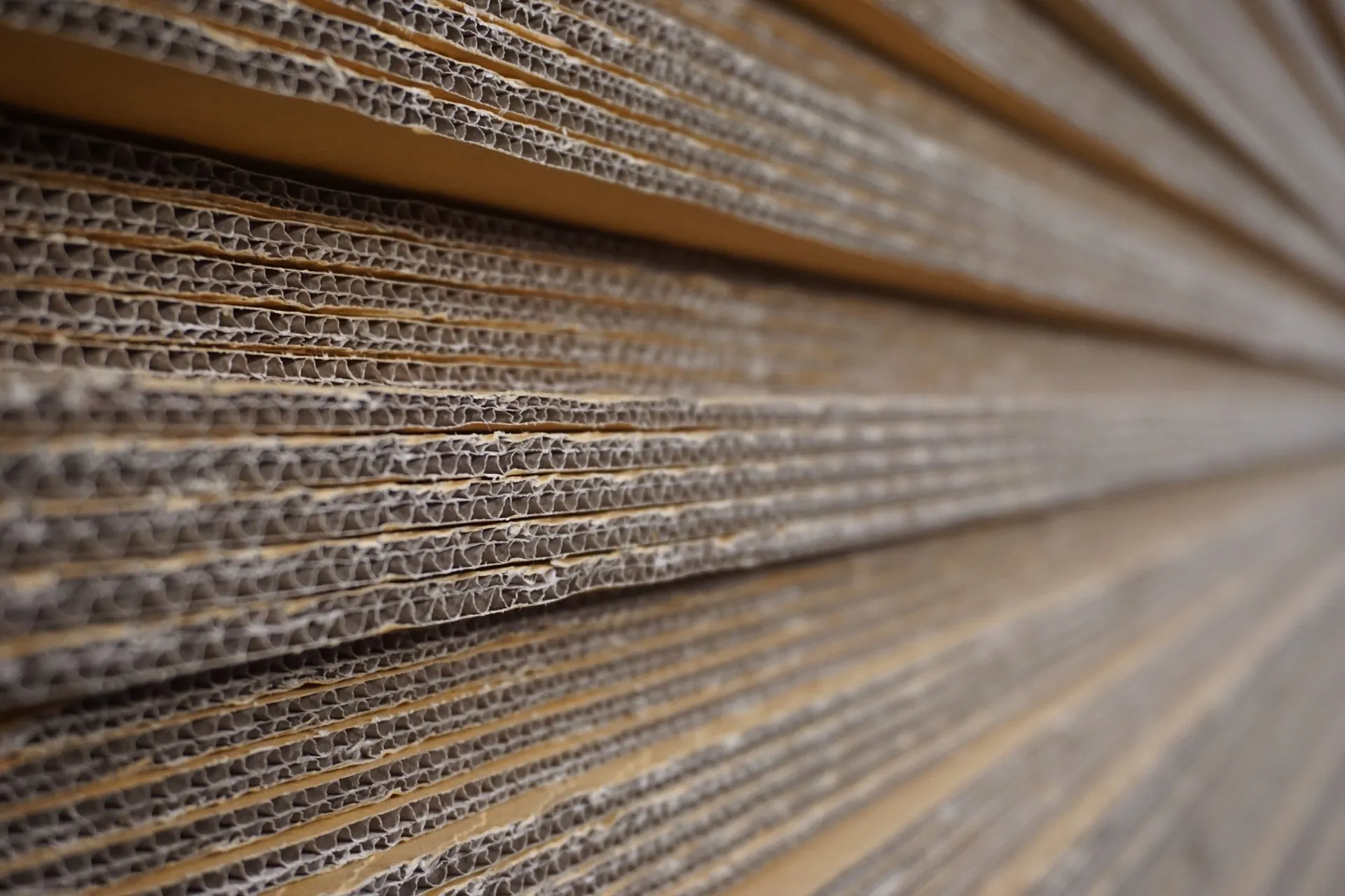 Looking for the best in packaging supplies? Gallery